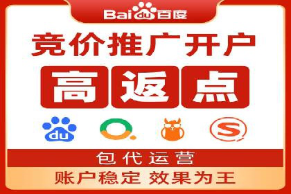 百度竞价排名案例分析：提升网站流量与转化率